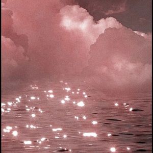 Meet your Posher, Jayla